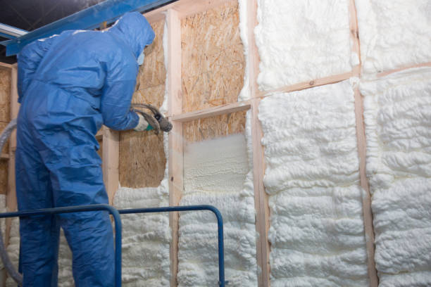 Types of Insulation We Offer in Hughson, CA